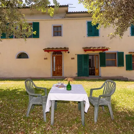 Holiday home Poggio Dei Michelazzi
