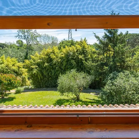 Holiday home Poggio Dei Michelazzi