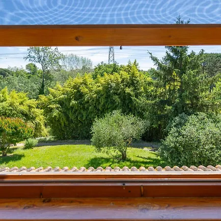 Poggio Dei Michelazzi Hébergement de vacances Fauglia